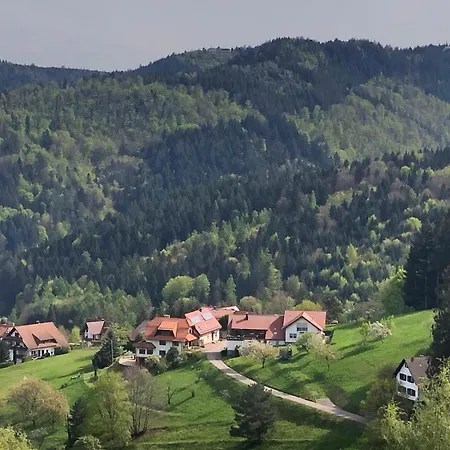 Nasdala *