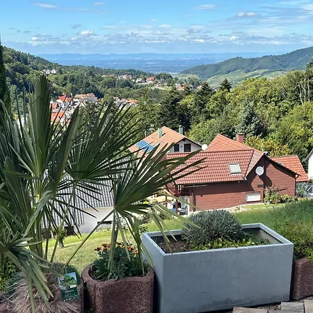 Nasdala Bühlertal