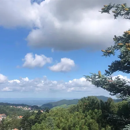Nasdala Apartamento