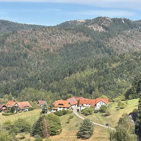 Apartment Nasdala Bühlertal